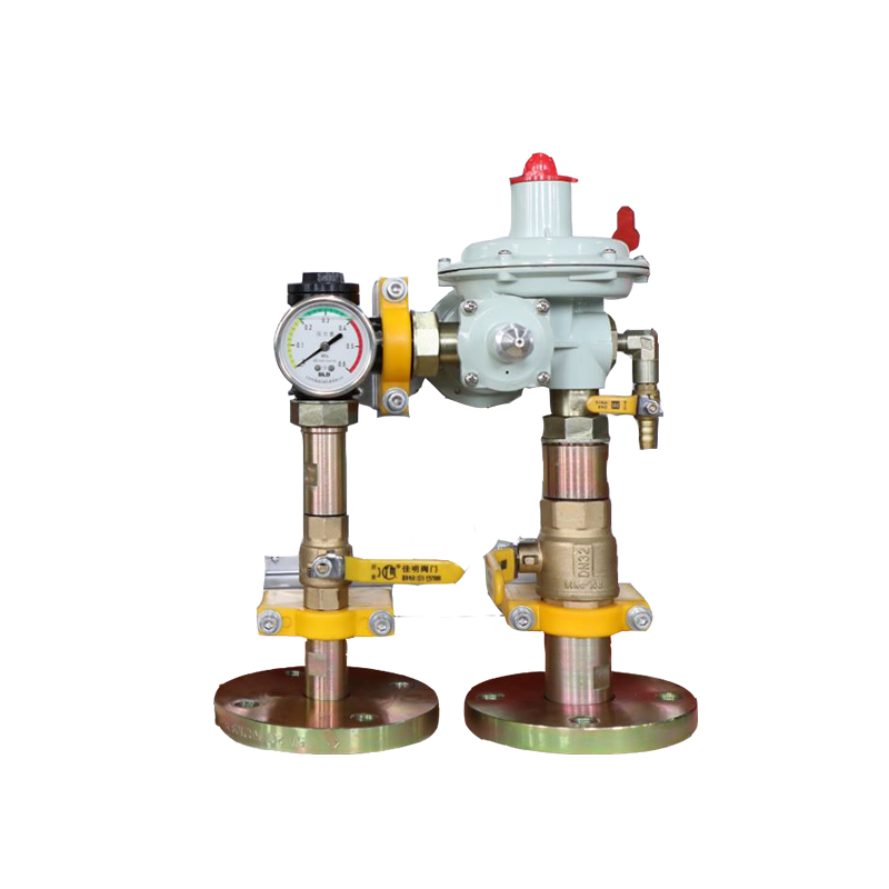 natural gas regulator