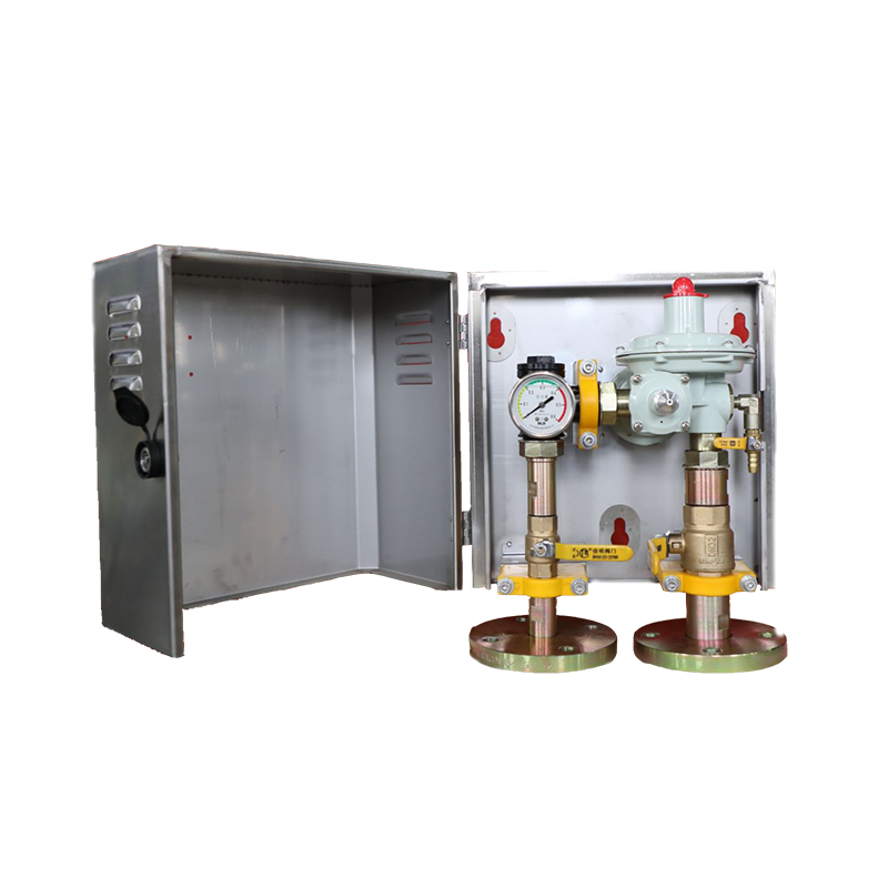pneumatic control valve