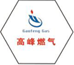 natural gas filter